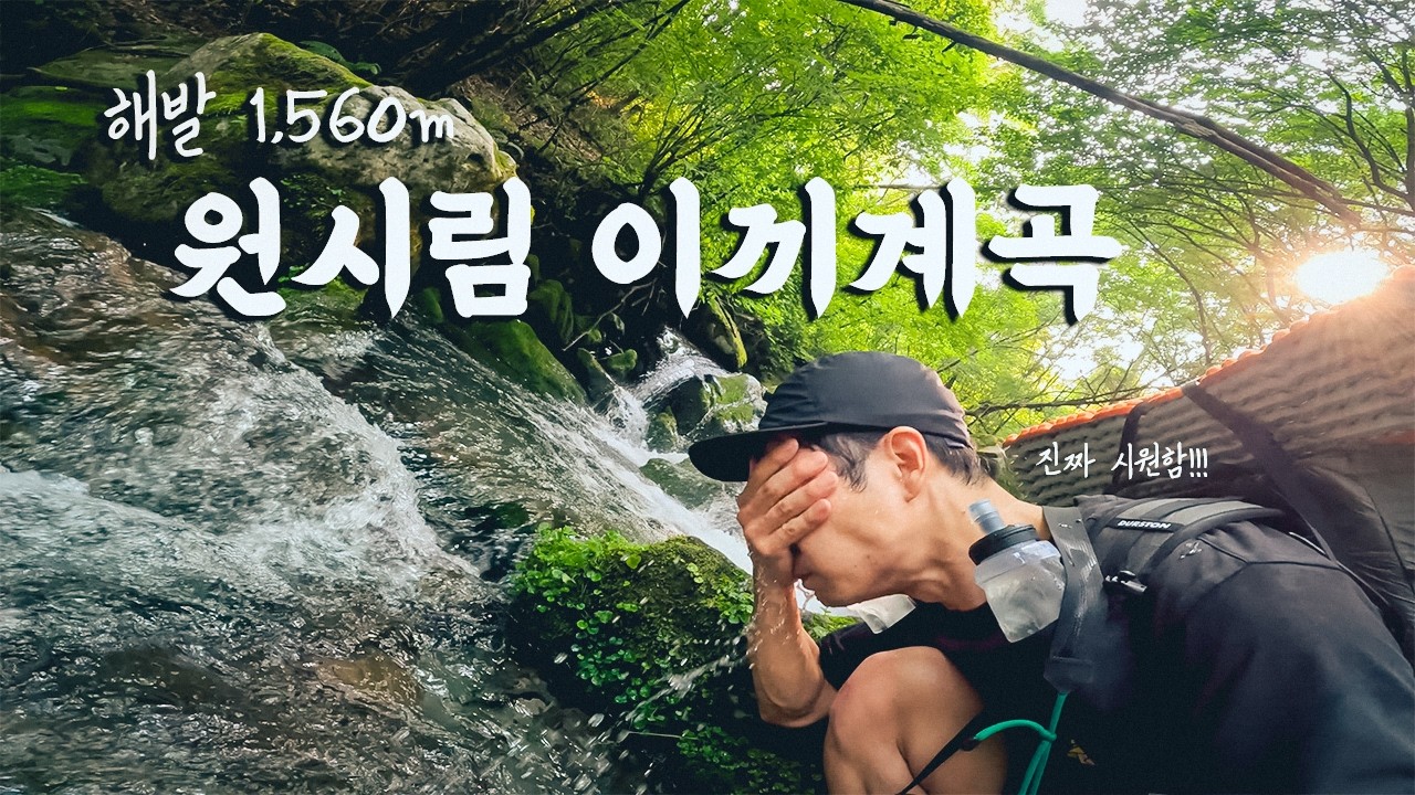 폭염에도 15도 ❄️ | 여름에 꼭가야하는 백패킹 최고난이도 산 | 가리왕산 백패킹