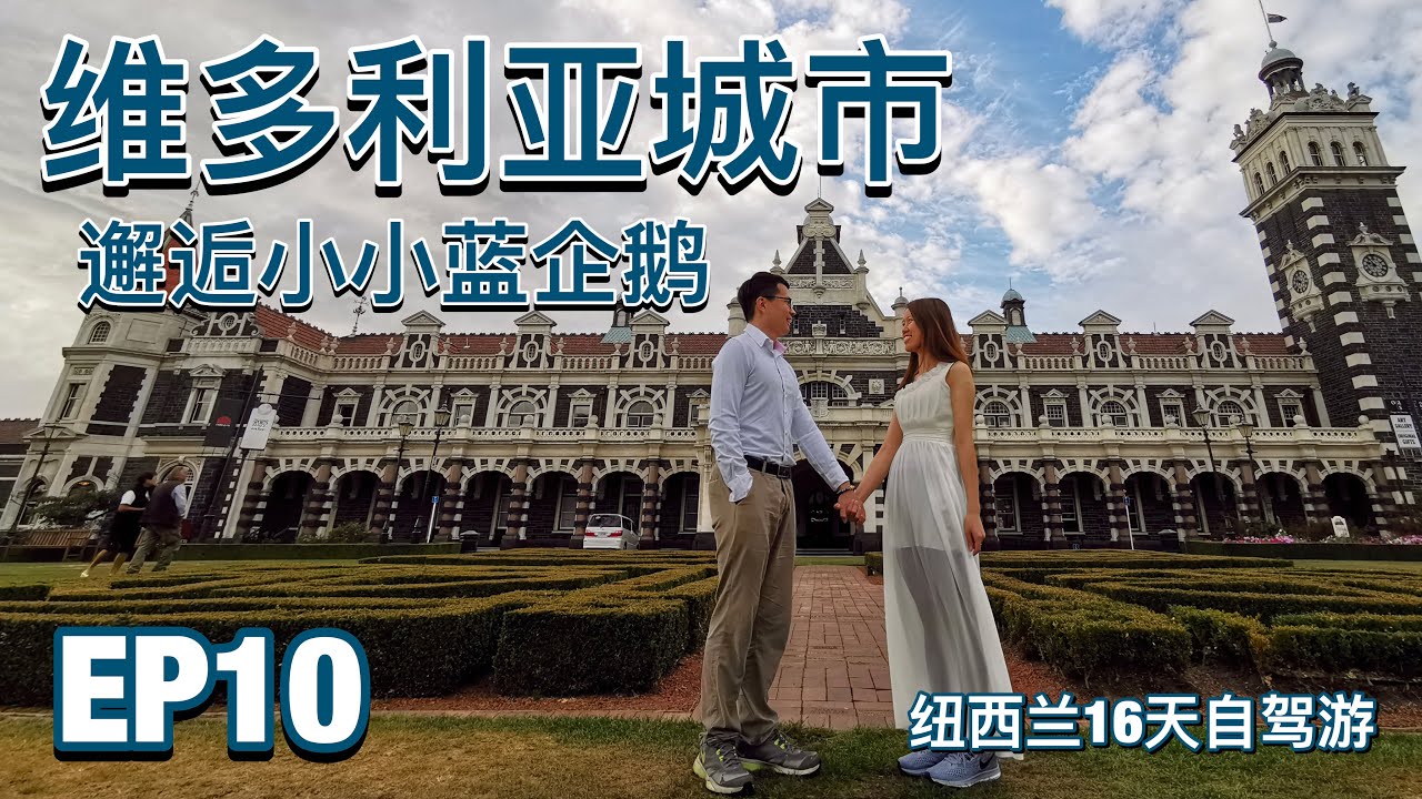 【纽西兰自驾游EP10】Dunedin First Church Otago University Moeraki Oamaru Penguin Colony 维多利亚城市 - 16天带你走遍南岛