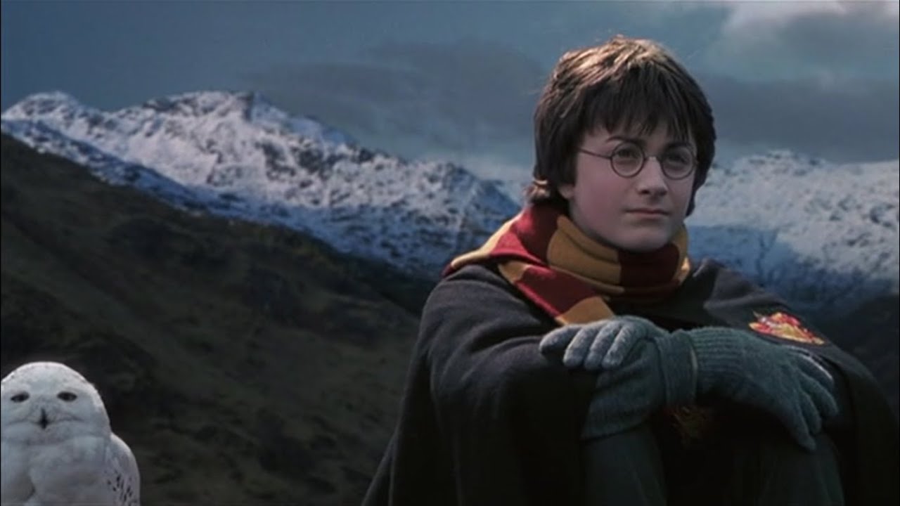 Harry Sits with Hedwig - Harry Potter and the Chamber of Secrets Deleted Scene