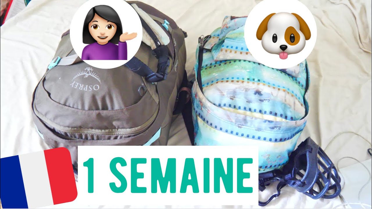 🇫🇷 what's in my travel bag ? (ma valise et celle de mon chien pour UNE SEMAINE)