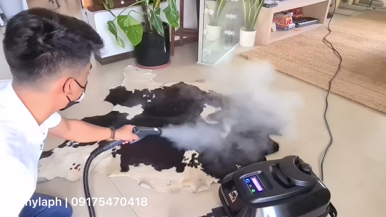 Sterilization of carpet using HYLA Steamer