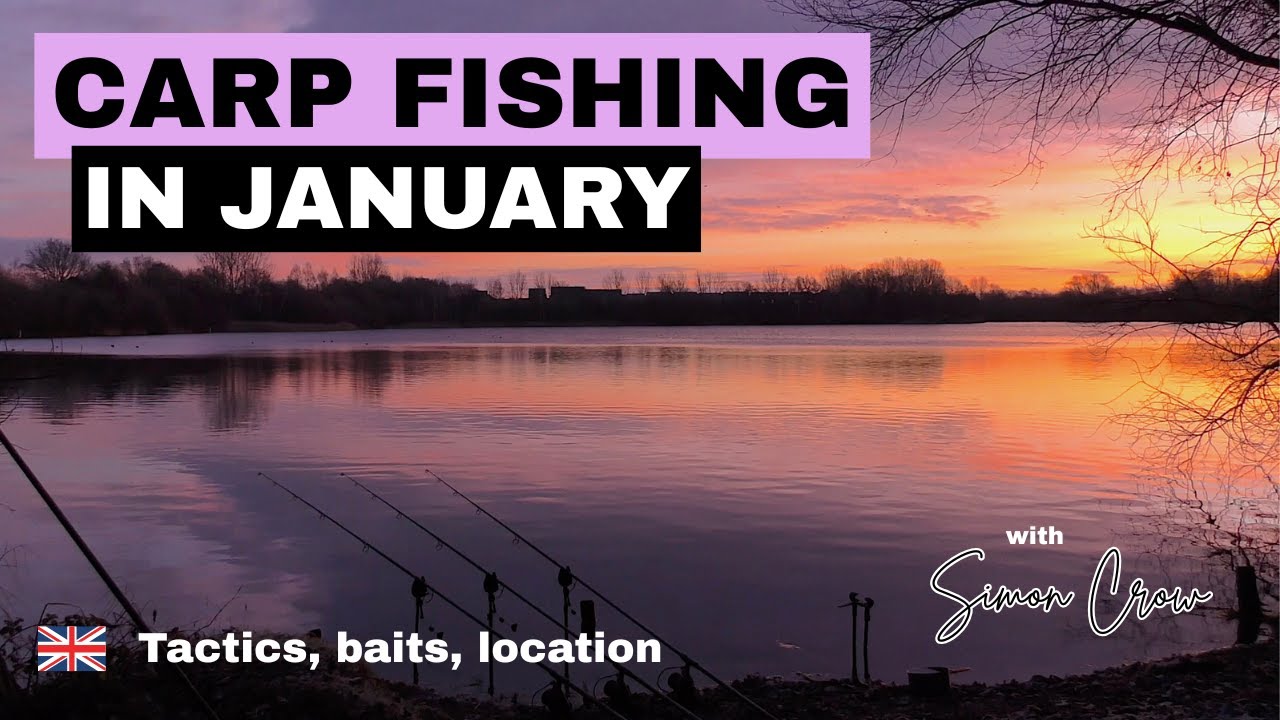 Carp fishing in January