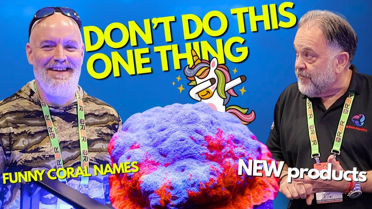 One Crucial Tip All Beginner Reef Tank Hobbyist Must Know