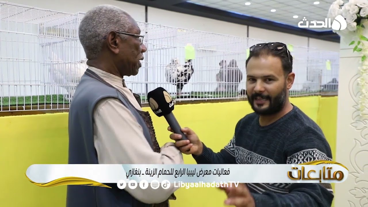 متابعات | فعاليات معرض ليبيا الرابع للحمام الزينة ــ بنغازي
