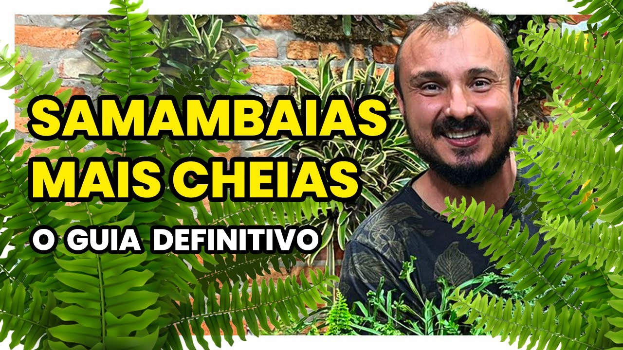Como deixar SAMAMBAIAS mais verdes e com muita folhagem (2 truques incríveis)