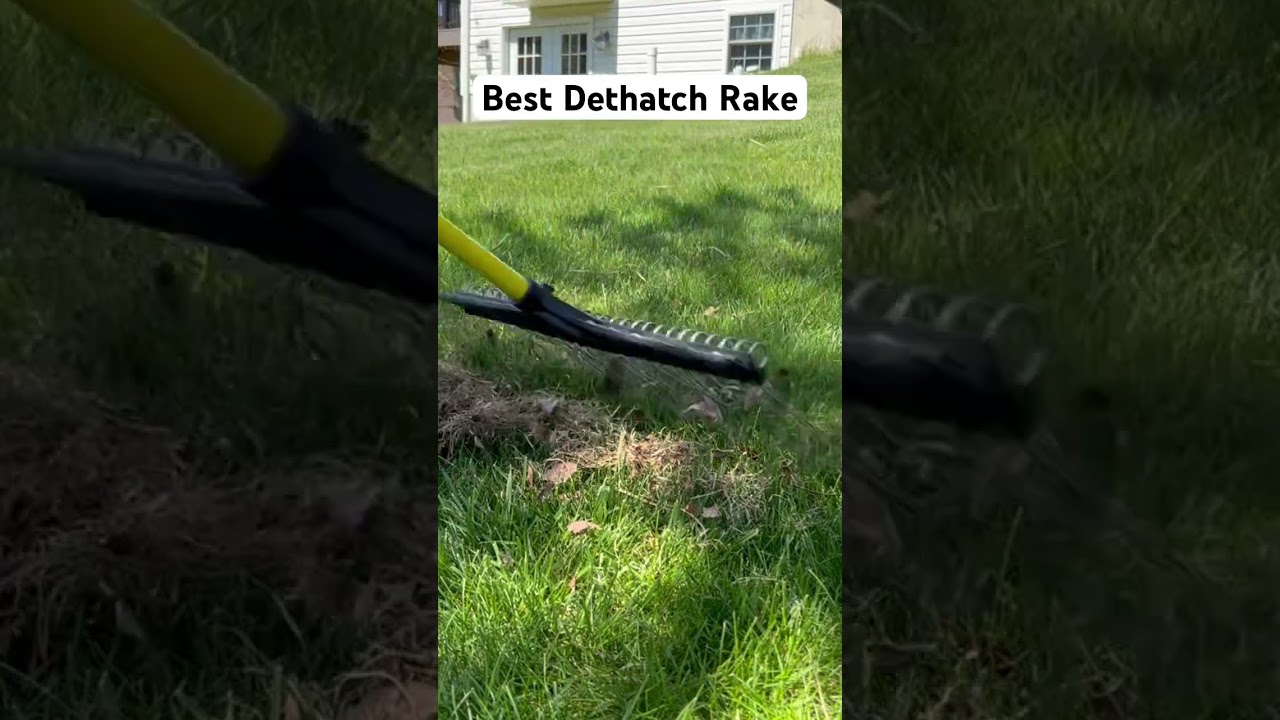 The BEST Dethatching Rake #shorts #lawncare