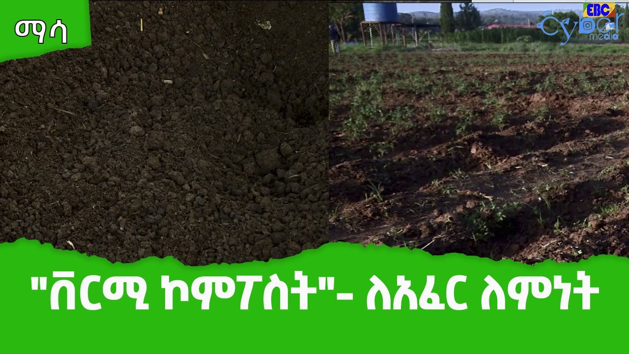 ማሳ- 