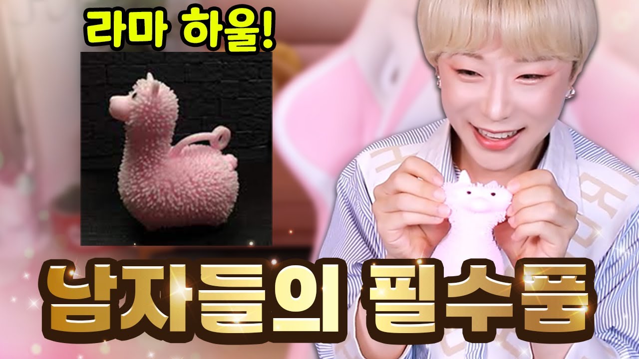 다이소 알파카 라마요요 구하는법과 쇼핑 하울 리뷰