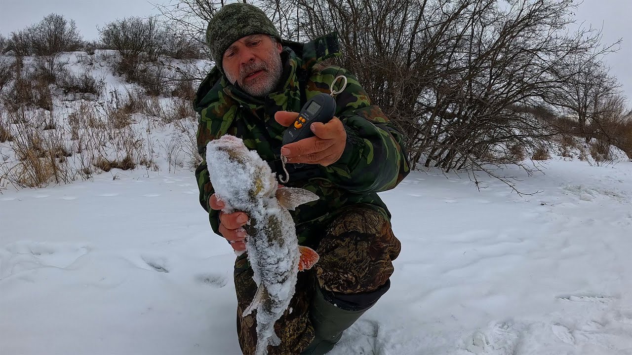 ЛЕСКА ТРЕЩИТ ОТ ЭТИХ МОНСТРОВ! РЫБАЛКА НА РЕЧКЕ В КОНЦЕ ЯНВАРЯ
