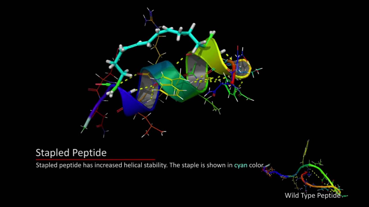 Molecular Dynamics on Stapled Peptide - Computational Drug Design