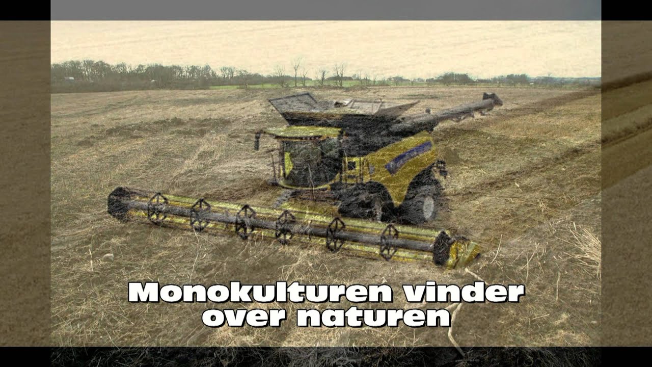 Marken er Mejet   Square Dansk