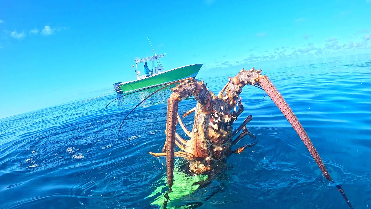 Flat Calm Water | Lobster Hunt | Exuma, Bahamas