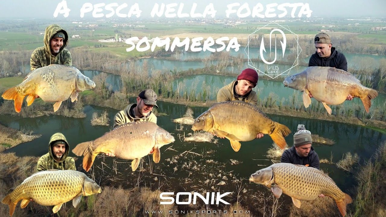 SWIM 22 - A Pesca nella foresta sommersa con Sonik Sports Italia