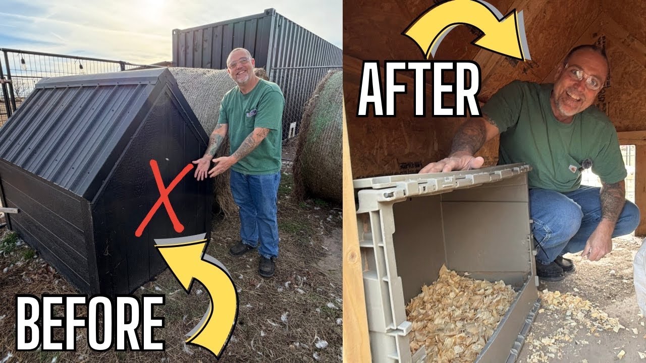 This ONE Easy Upgrade Made Our Farm Life Easier! DIY Chicken Coop Farm Project