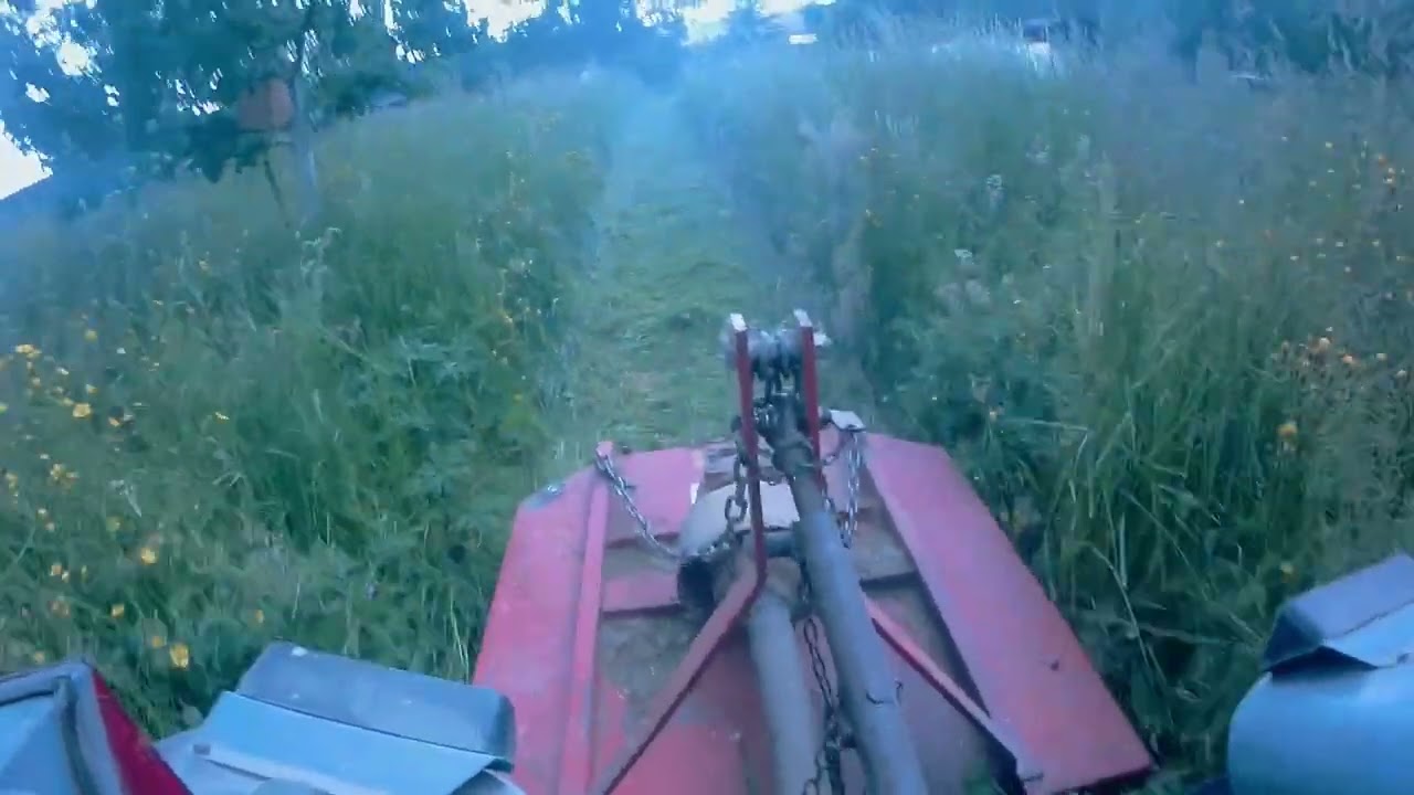 Mulchen mit Eicher 3705 und Fischer Sichelmulcher