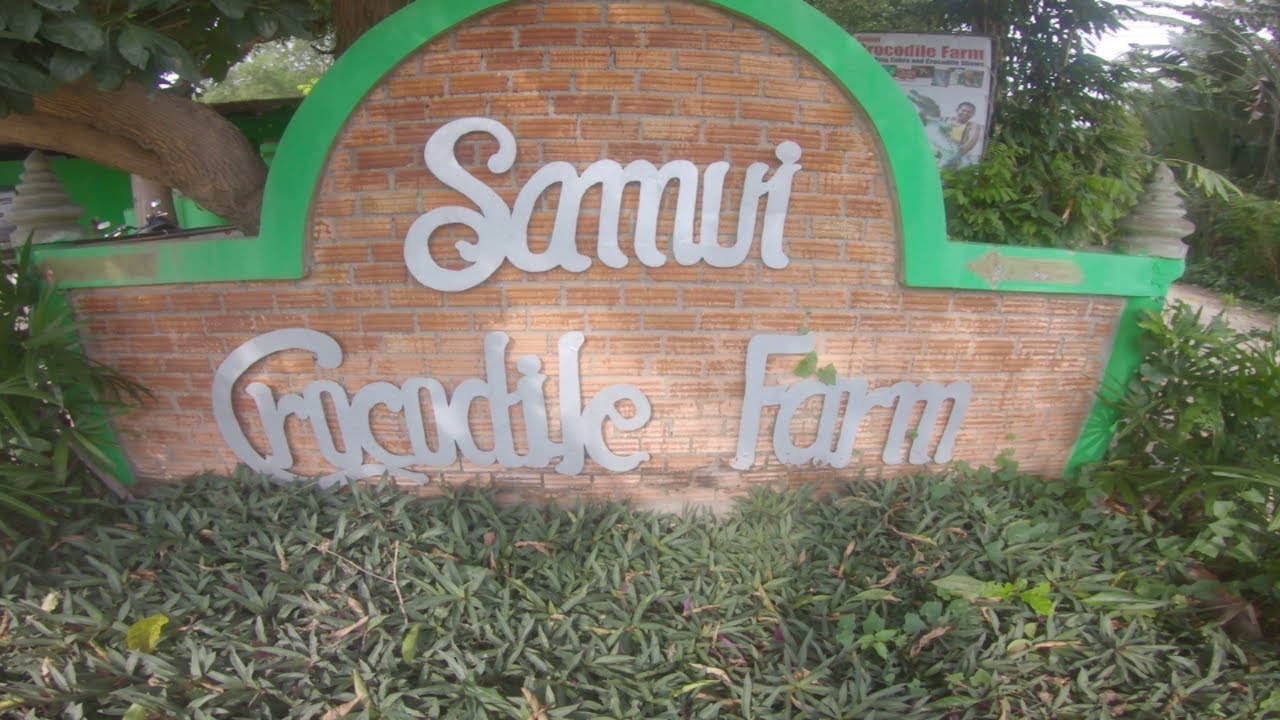 Koh Samui Crocodile Farm
