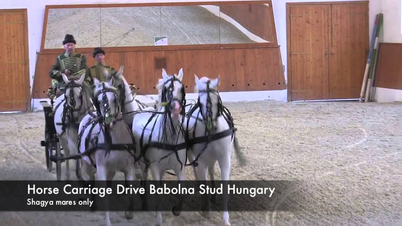 Bábolna National Stud