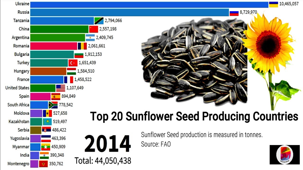 Top 20 Sunflower Seed Producing Countries