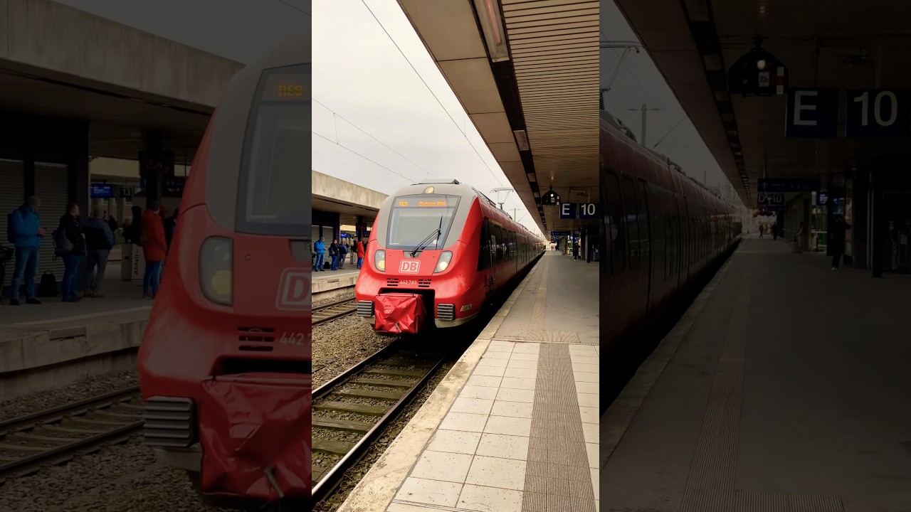 Hamsterbacke f&auml;hrt als RE 8 nach Bremen aus Hannover Hbf #br442 #bahn #trainspotting #db #hamster