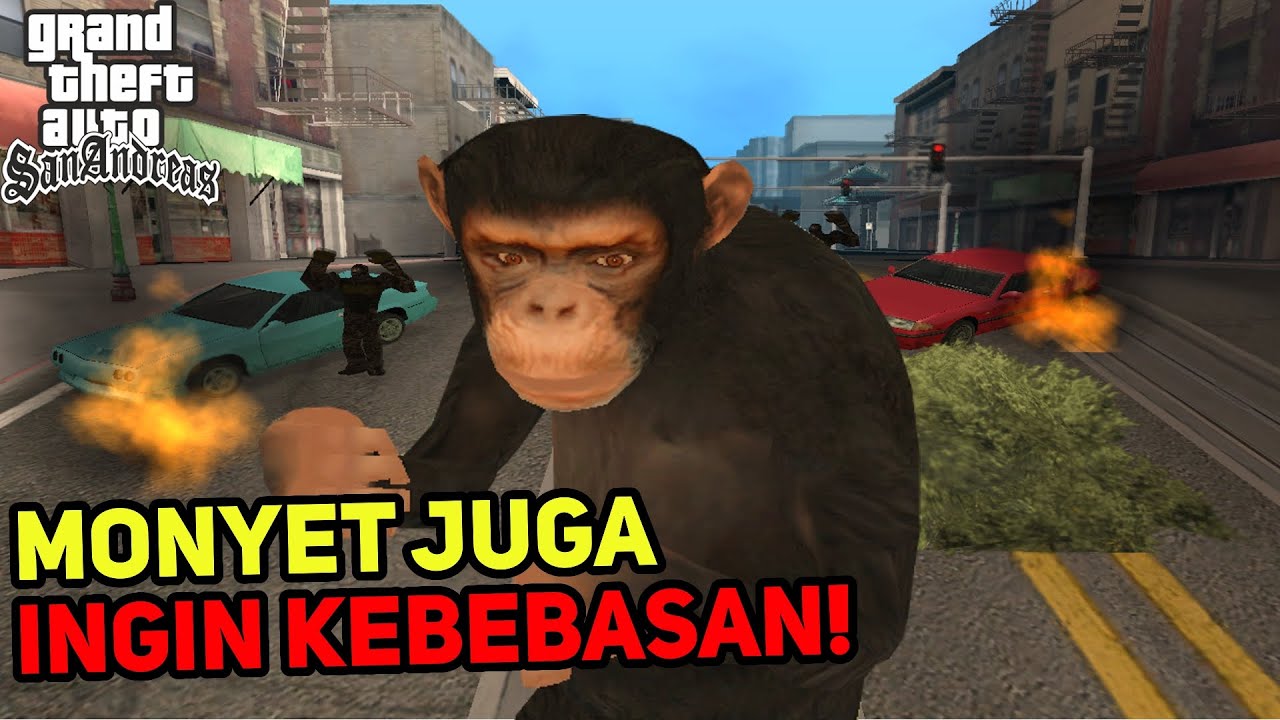 PERJUANGAN MONYET YANG INGIN KEDAMAIAN DAN KEBEBASAN! GTA SAN ANDREAS DYOM