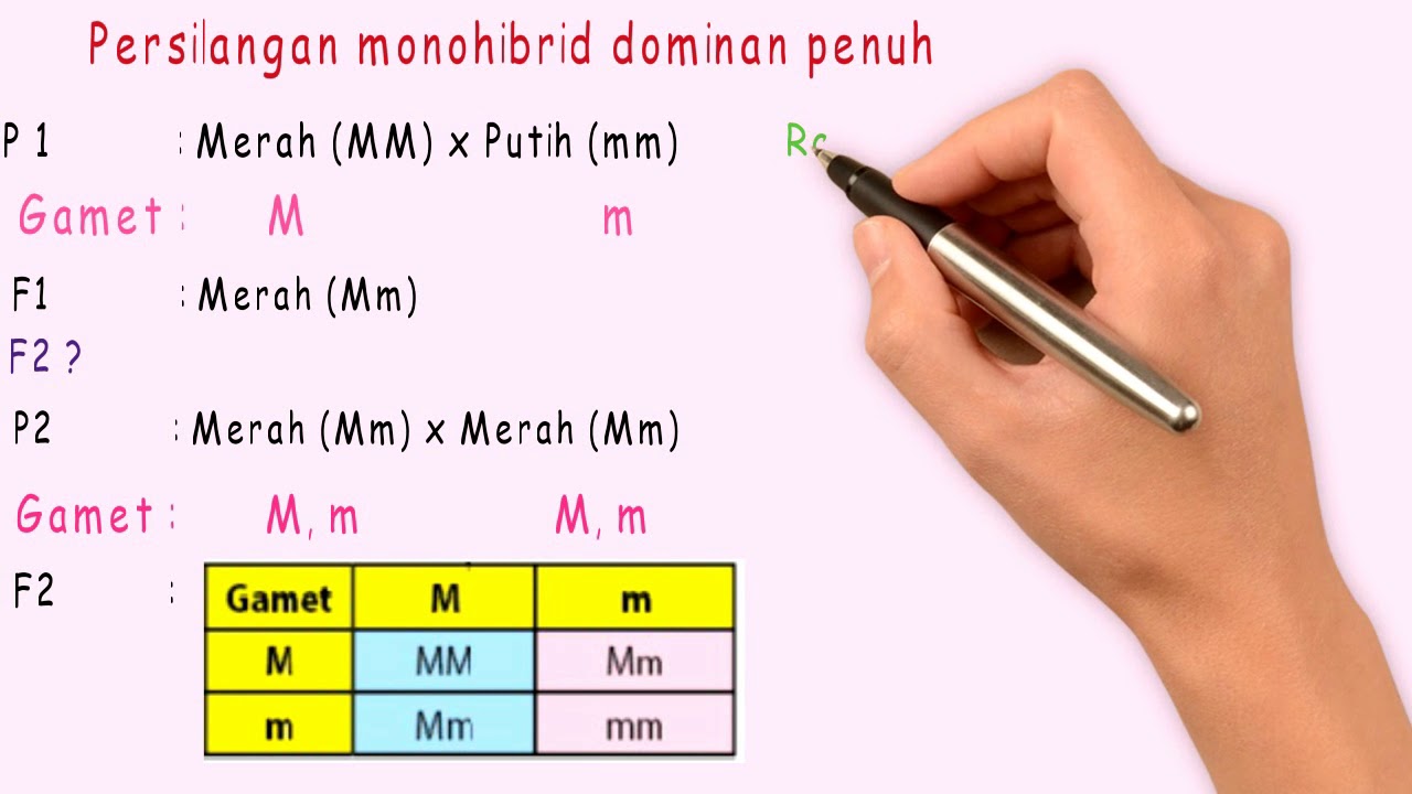 Persilangan Monohibrid Dominan