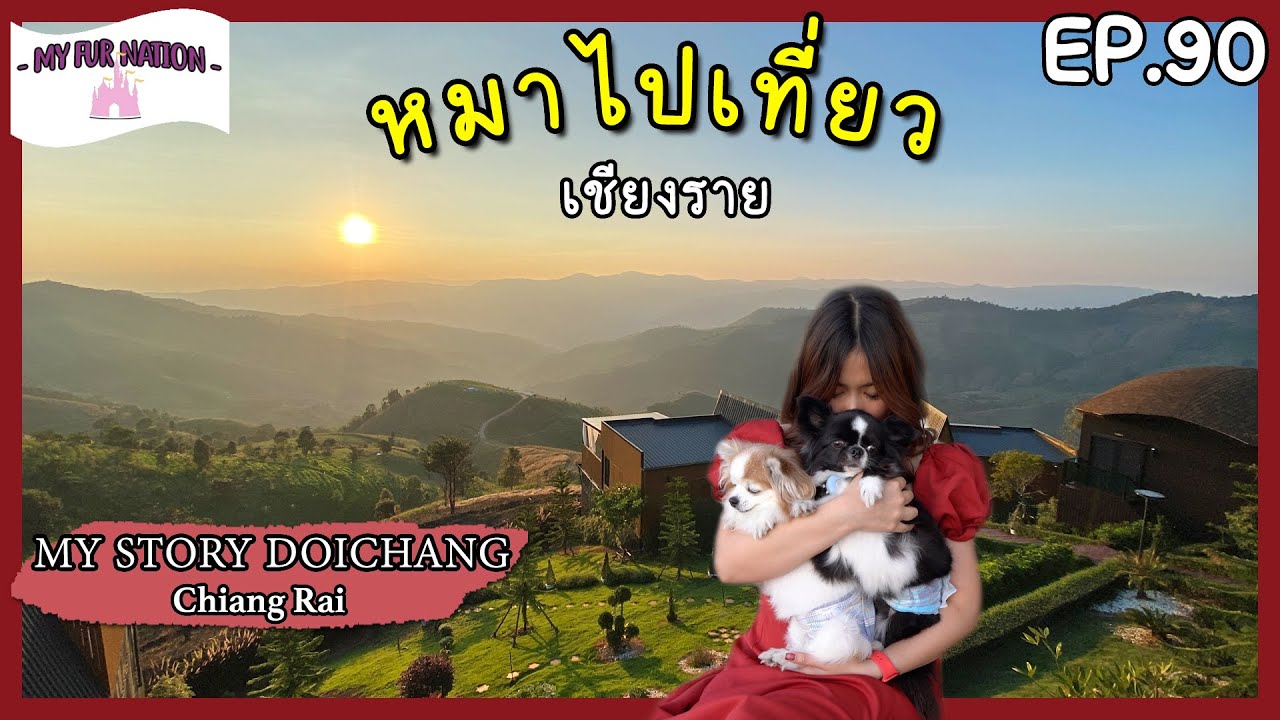 EP.90 - หมาไปเที่ยว | รีวิวโรงแรม MY STORY DOICHANG ที่พักบนดอยช้างที่หมาเข้าพักได้ ใกล้ฟาร์มแกะสุดๆ