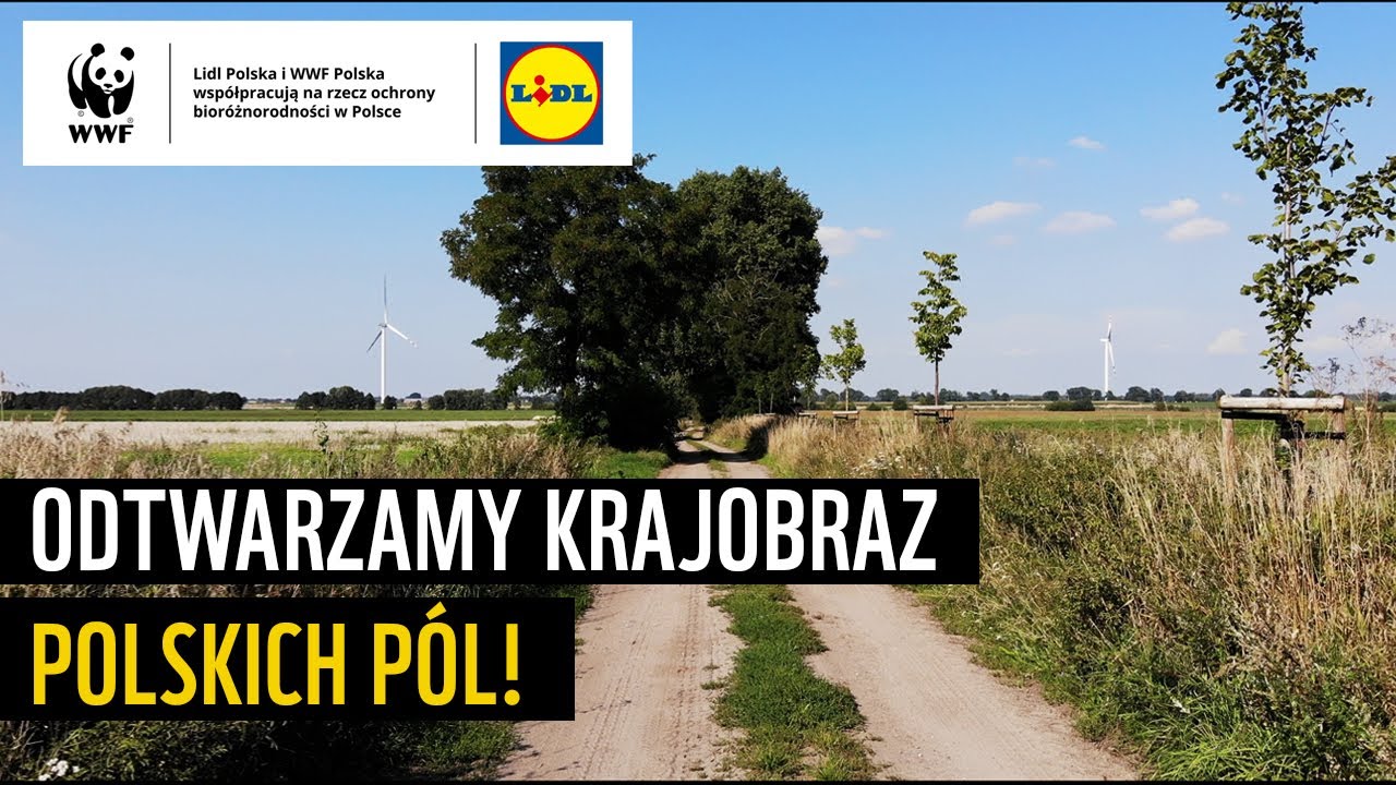 Wspieramy bioróżnorodność polskiej wsi - w 4 dni posadziliśmy 300 drzew!