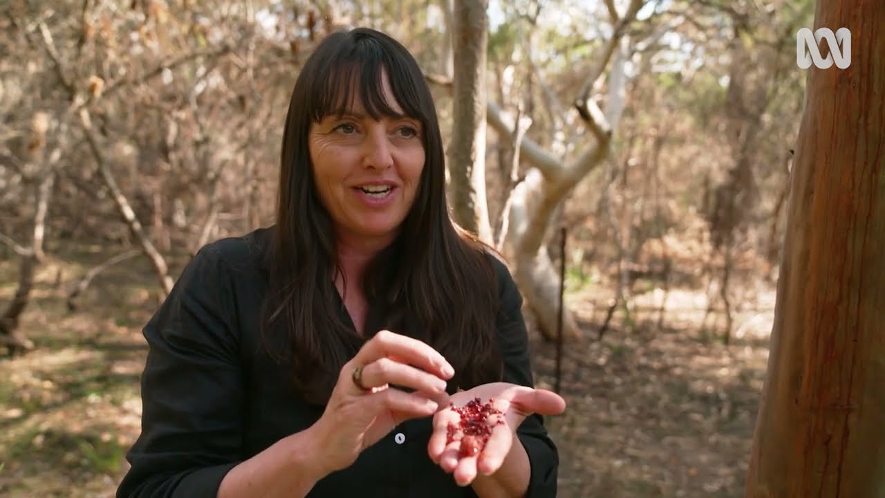 Catriona Pollard story on Gardening Australia
