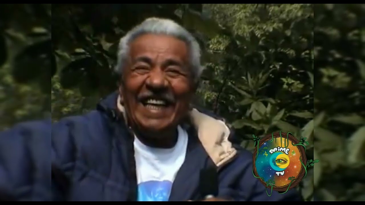 Pontos de luz do Santo Daime 🌞🌛🌟( Mestre Conselheiro Luiz Mendes )