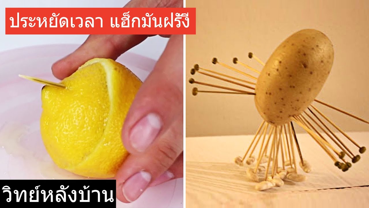 เคล็ดลับและประโยชน์จากไม้จิ้มฟัน | Life Saving Toothpick Hacks | Science Experiments | วิทย์หลังบ้าน