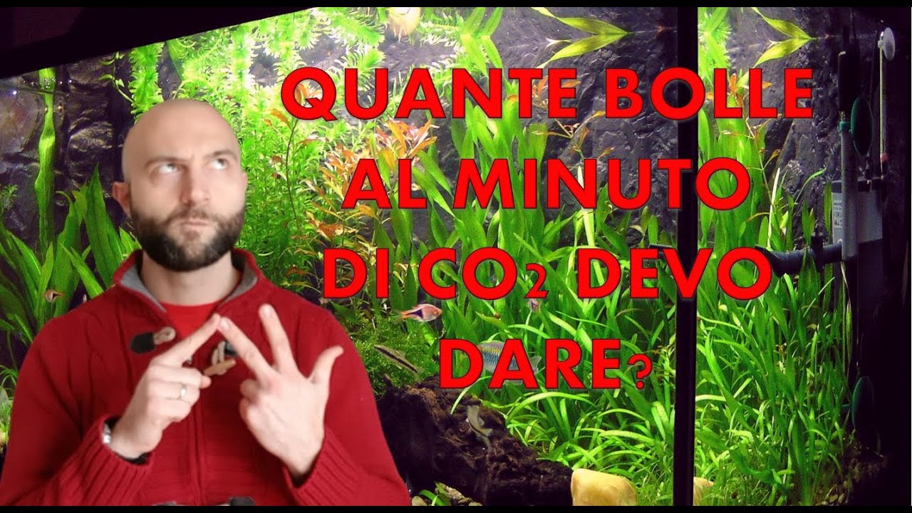 Quante bolle di co2 dare? Spiegazione nei dettagli