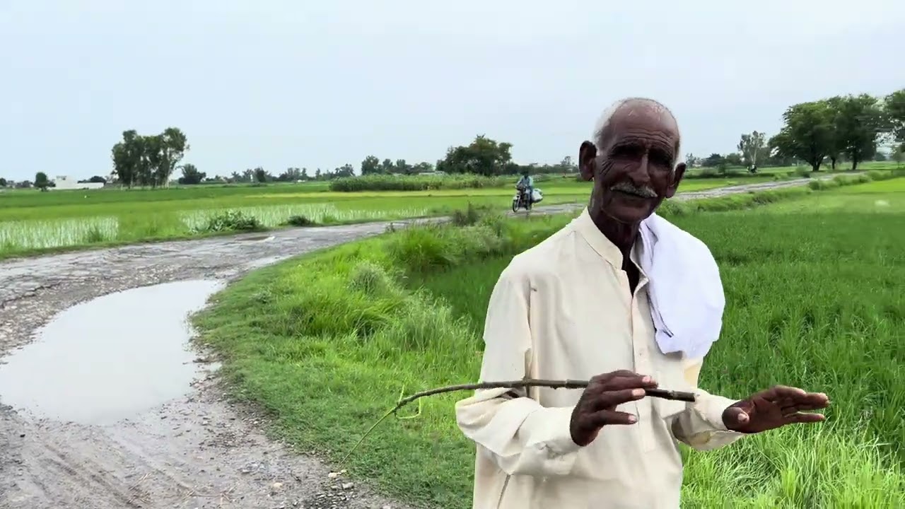 Sialkot Bajwat Explore Pakistan Village Life Full Lush Green Loc Nature Lover Come to Visit Bajwat