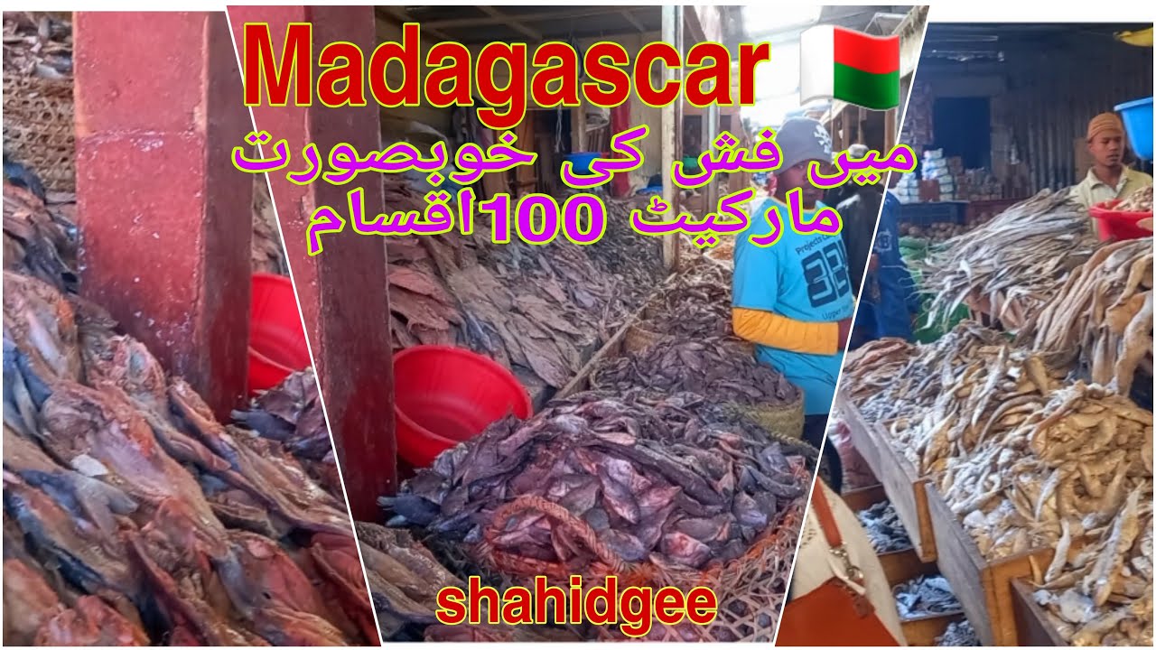 fish 🐟 markets in Madagascar beautiful vilog