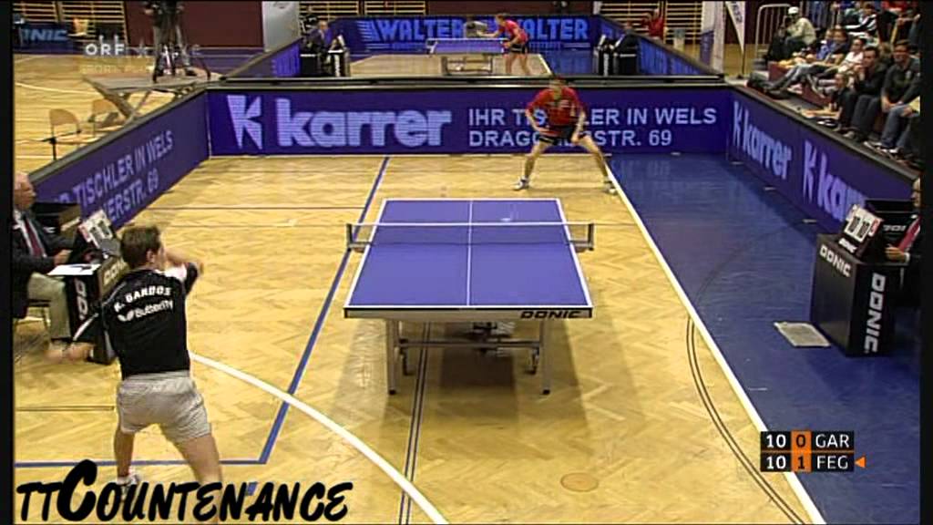 Austrian Top 12: Stefan Fegerl-Robert Gardos