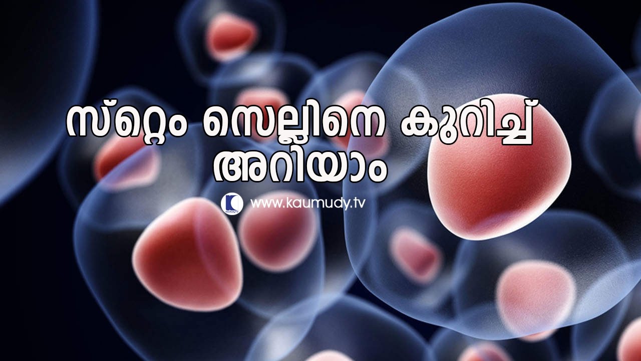 All you wanted to know about stem cells | Doctors view| Ladies Hour
