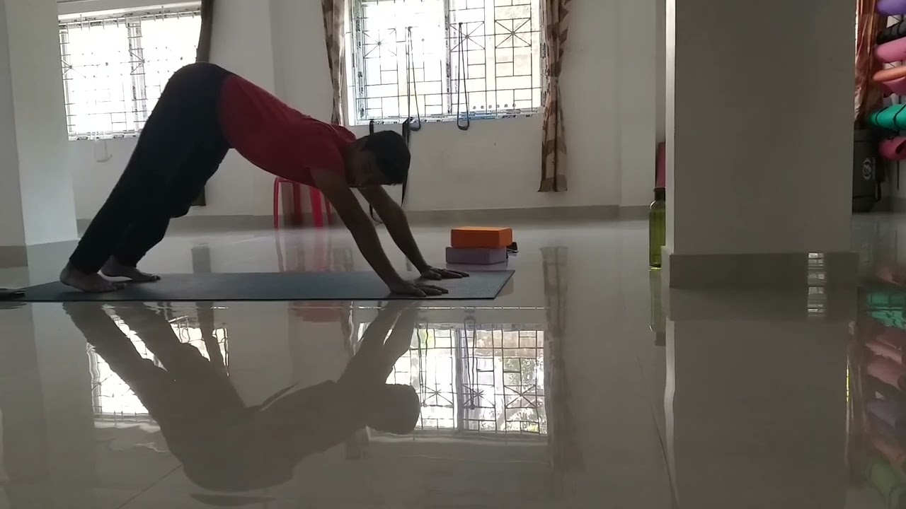 Shoulder strength Dolphin pose  prepare for Sirasasana