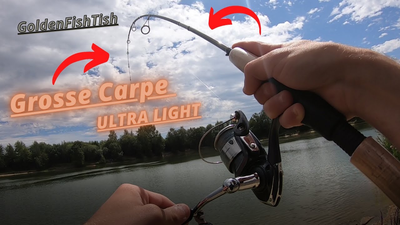 GROSSE CARPE EN ULTRA LIGHT !!!!!!