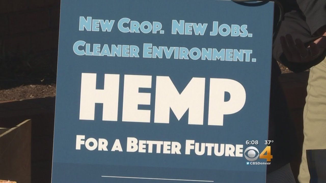Hemp Changes Will Take Effect With New Farm Bill