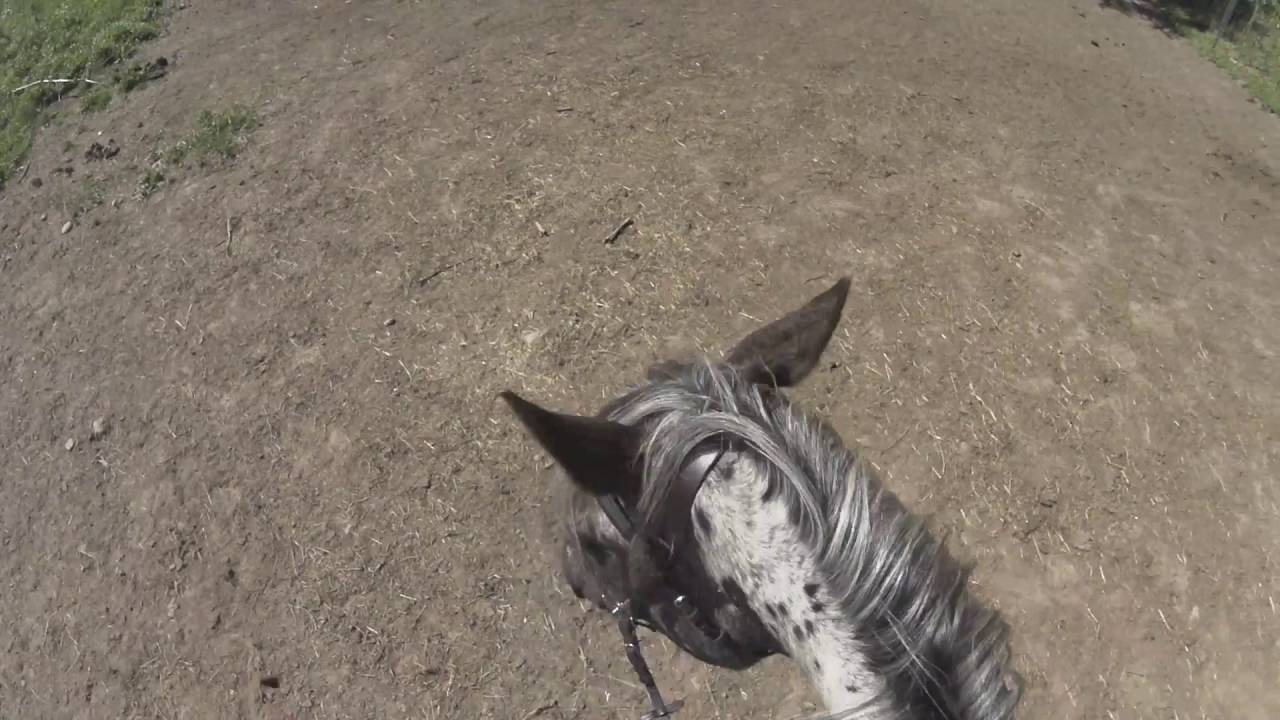 Fixing Fancy's Balking