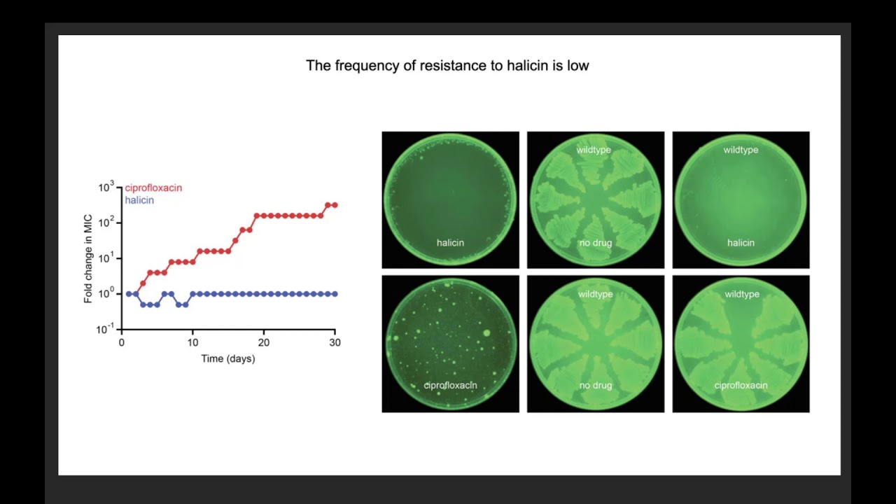 A Deep Learning Approach to Antibiotic Discovery