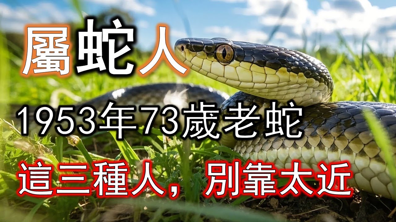 屬蛇人的一生總結：用腦一半，用心一半。癸巳蛇理性強、情深重。73歲後終明白：人活到後半場，心勝於智。懂愛、懂寬，就是圓滿#生肖蛇#屬蛇人#1953 蛇