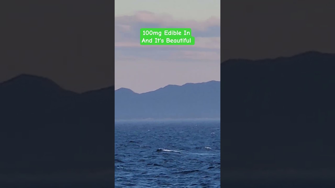 The Alaska/B.C. Coast #Stoner #travelling #coast #mountains #alaska #canada #bc #edibles #ocean