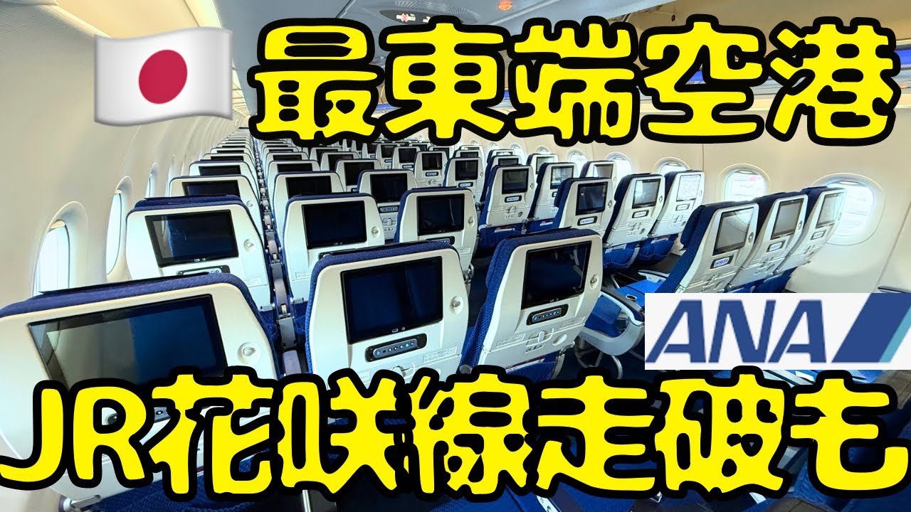 【緊急停車&絶景】アクセスが大変すぎる空港から一気に東京を目指すと...
