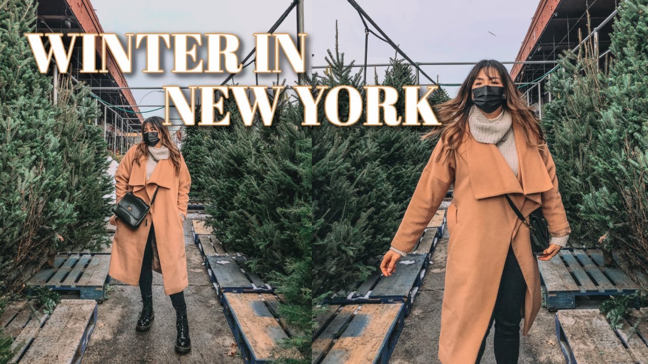 BROOKLYN NYC VLOG - Spend the day with me // Vlogmas 2020 - Day 20
