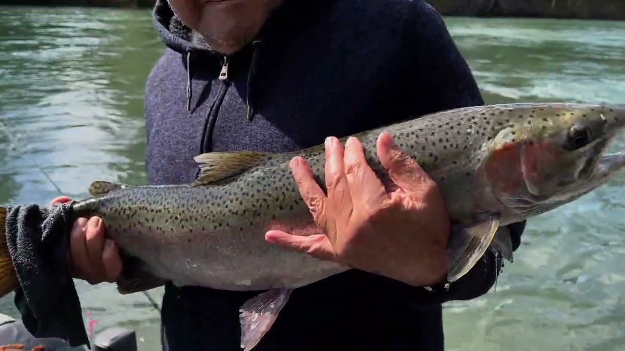 UMPQUA 2025