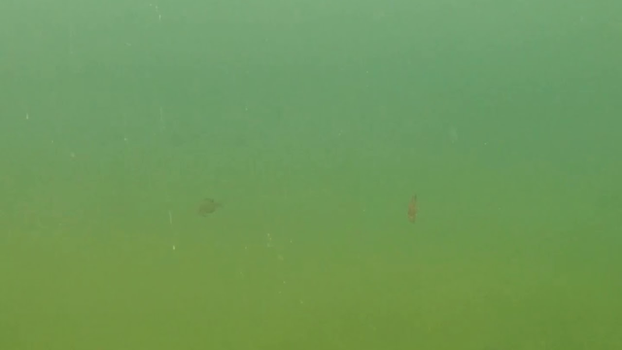 Underwater at Roman Lake