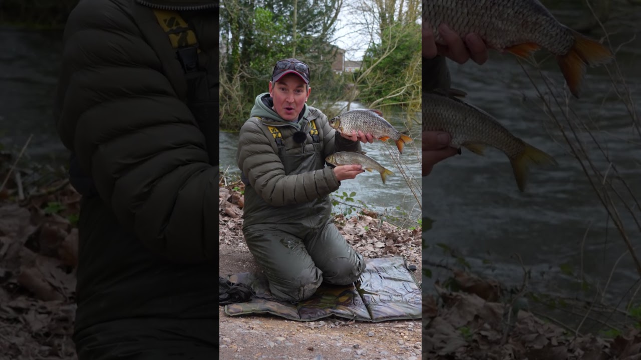 Specimen Series Winter Trotting