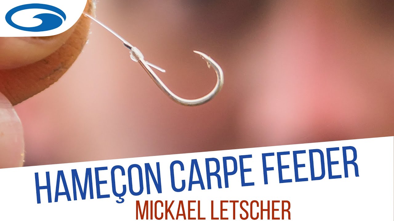 TUTO FEEDER - Sélection d'Hameçons pour la Pêche au Feeder des Carpes Sauvages