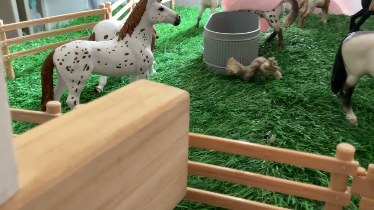 I’m starting a new series and thank you for 81 subscribers so it is about horse