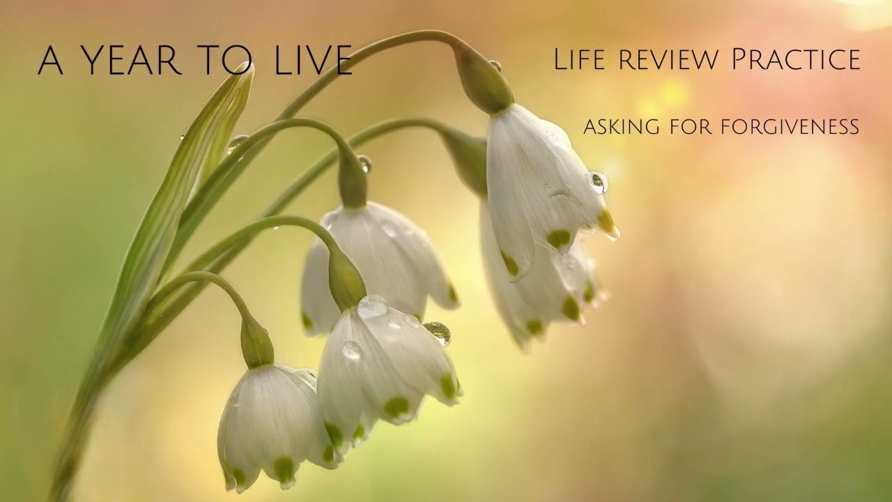 A Year to Live Life Review: Asking for Forgiveness
